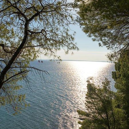 Squirrel Beach Front Villa, Metamorfosi Exteriér fotografie