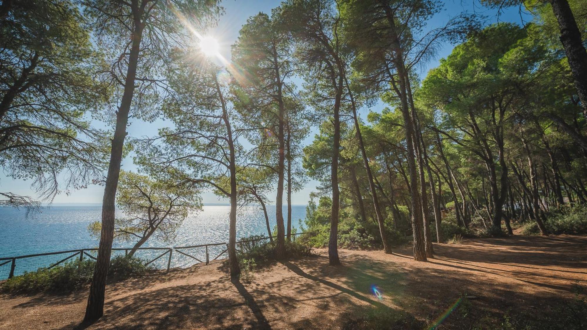 Squirrel Beach Front Villa, Metamorfosi Exteriér fotografie