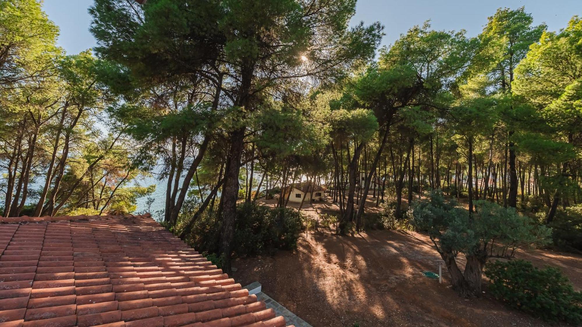 Squirrel Beach Front Villa, Metamorfosi Exteriér fotografie